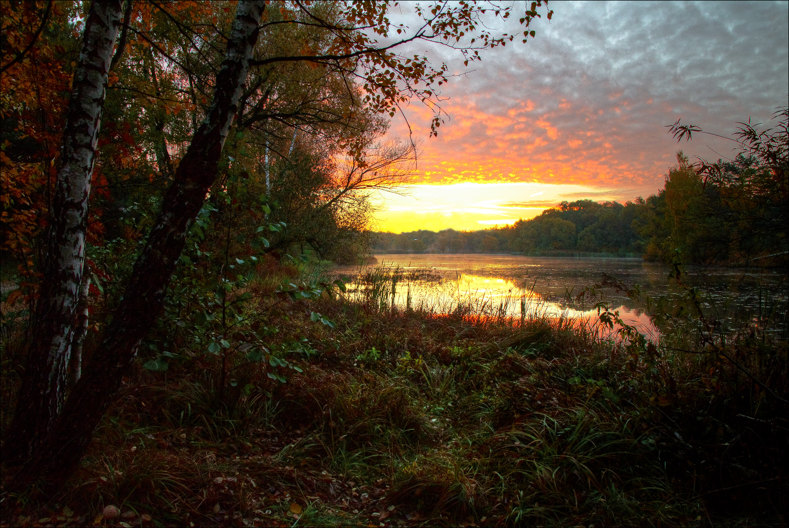 мимо проходил