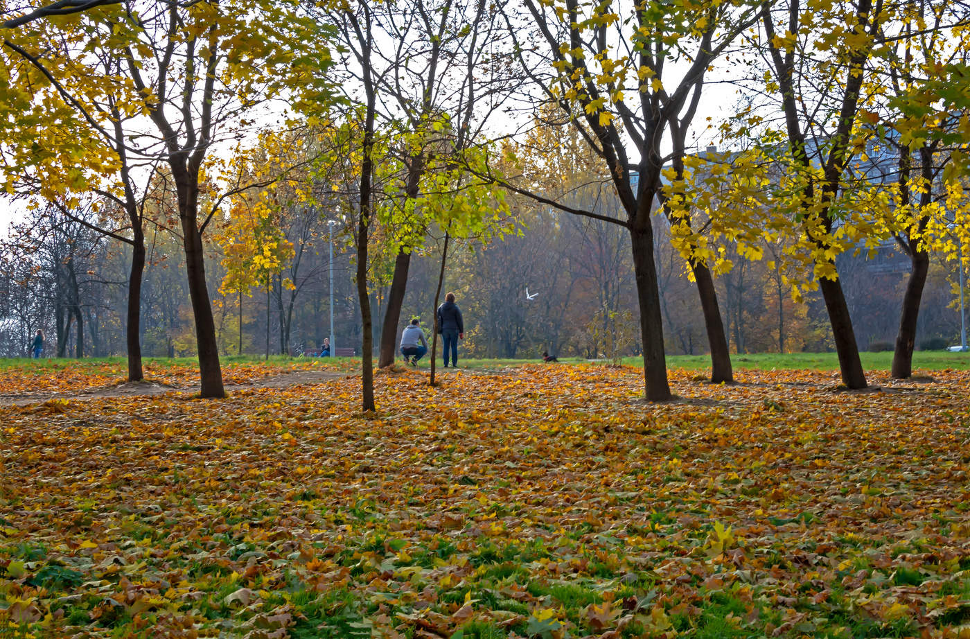 охотничек...