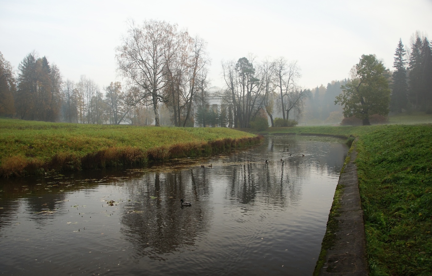 Осеннее утро...