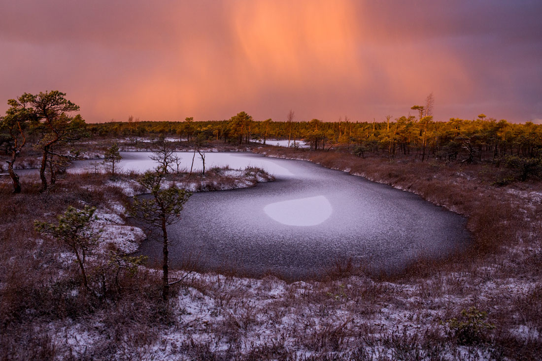 Снежное сияние