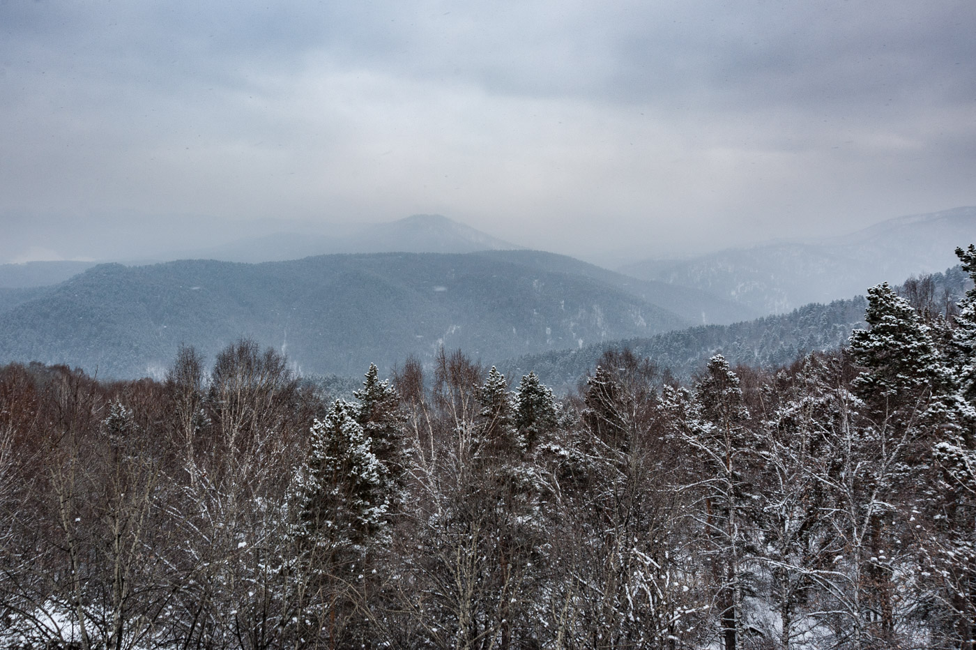 В снежной мгле...