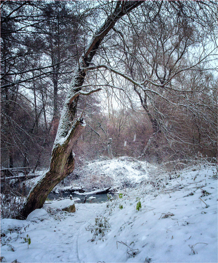 Зимний пейзаж