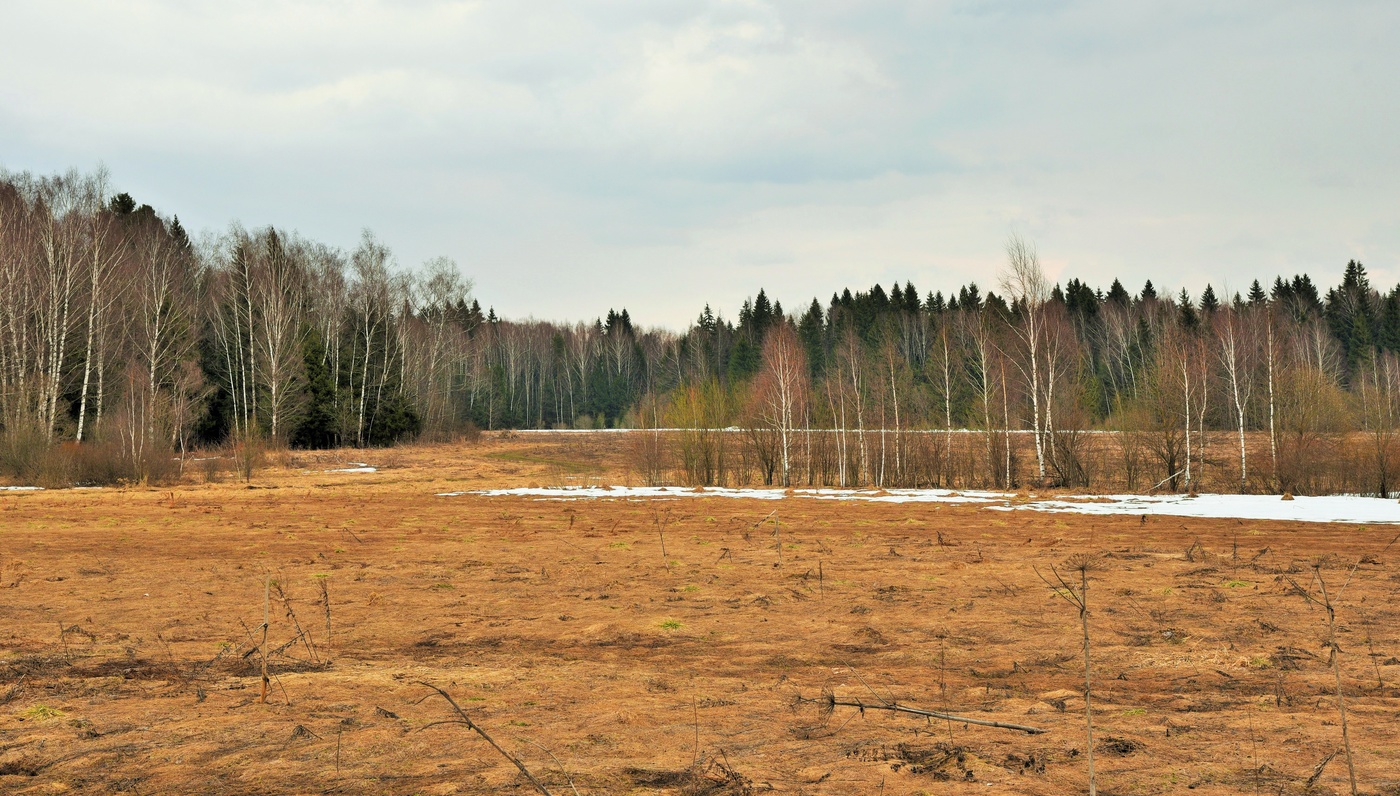 "Еще земли печален вид ..."