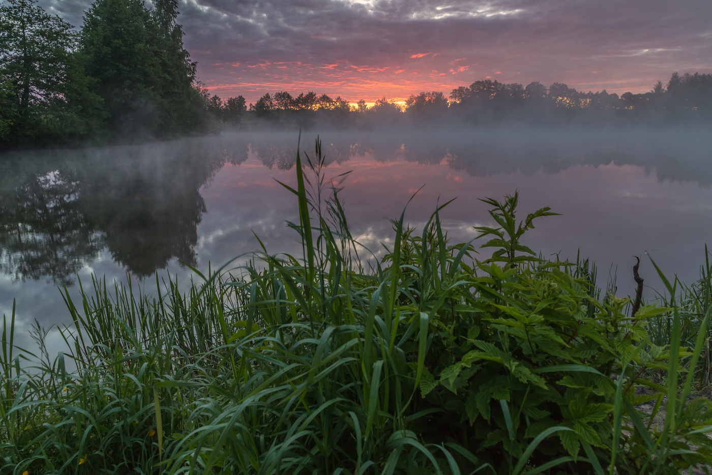 Перед восходом 2