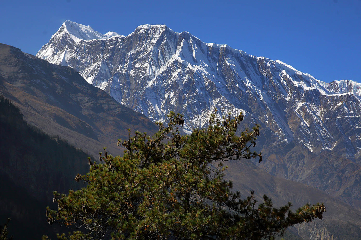 Аннапурна III