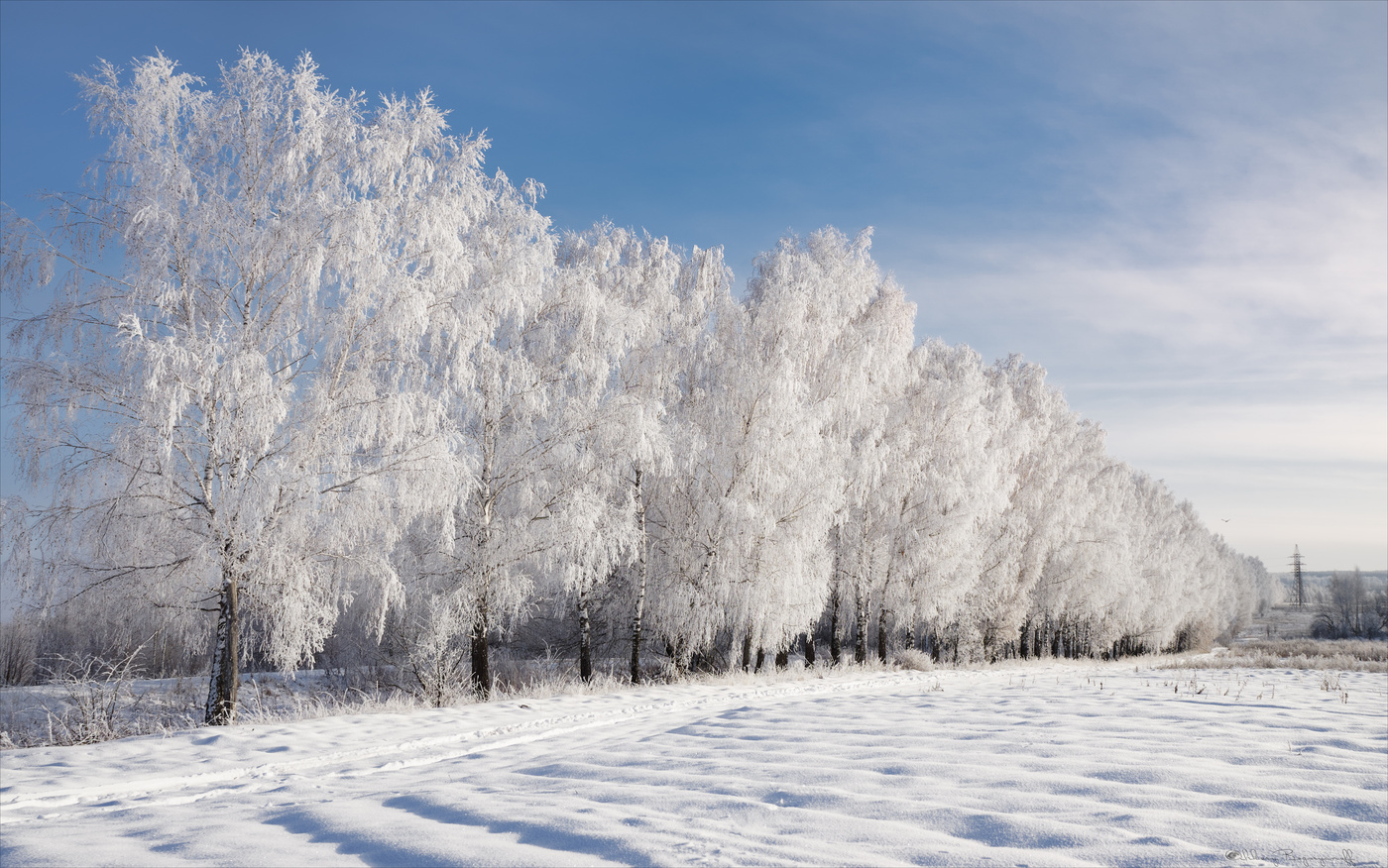 Во власти зимы.