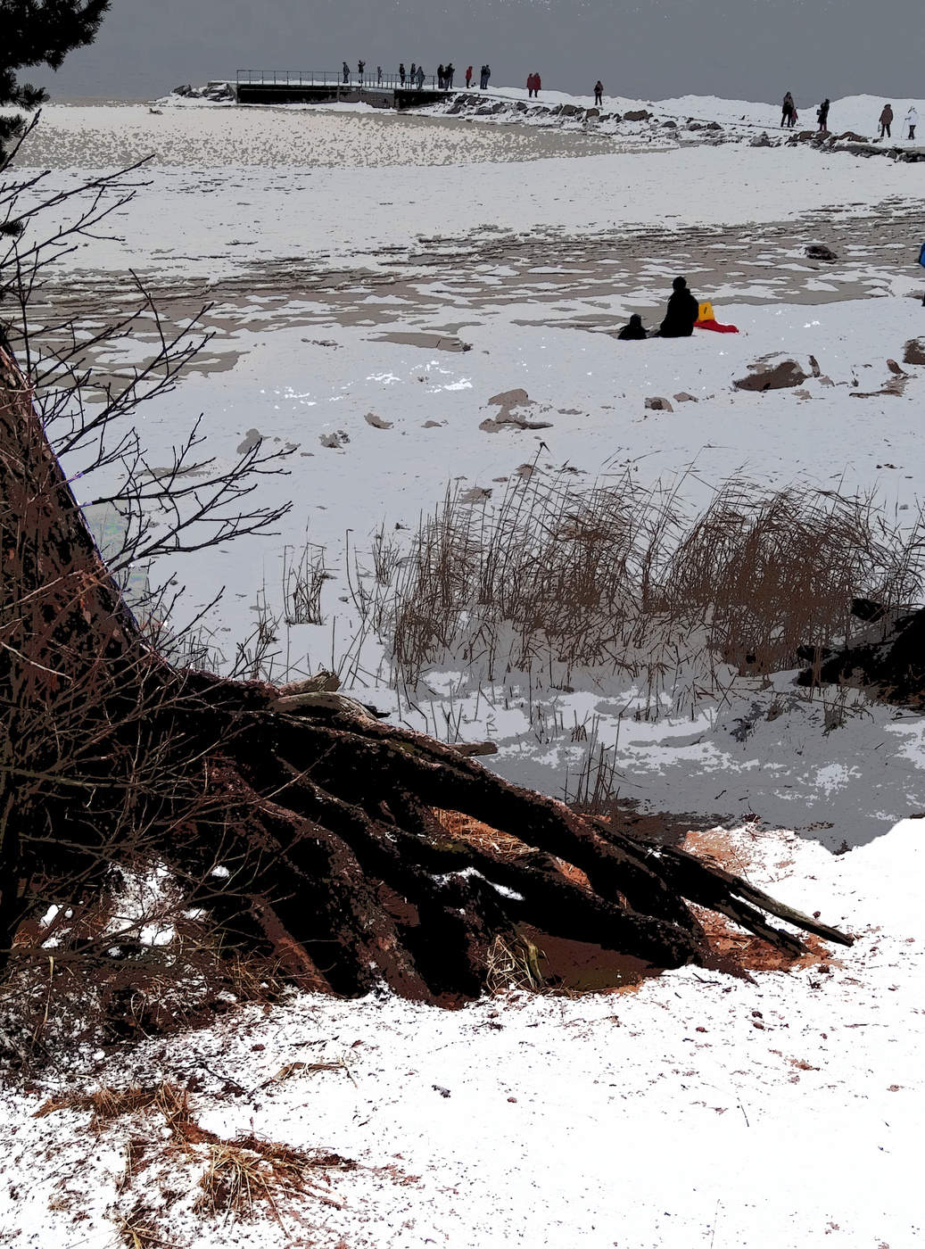 Зима на старте