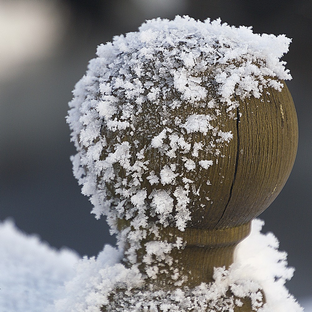 Холодно, однако...