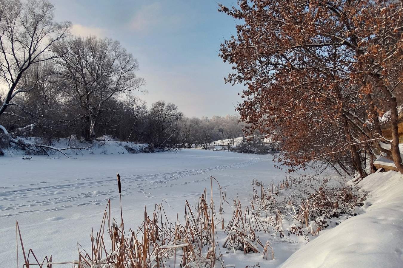 Декабрьским морозным днём