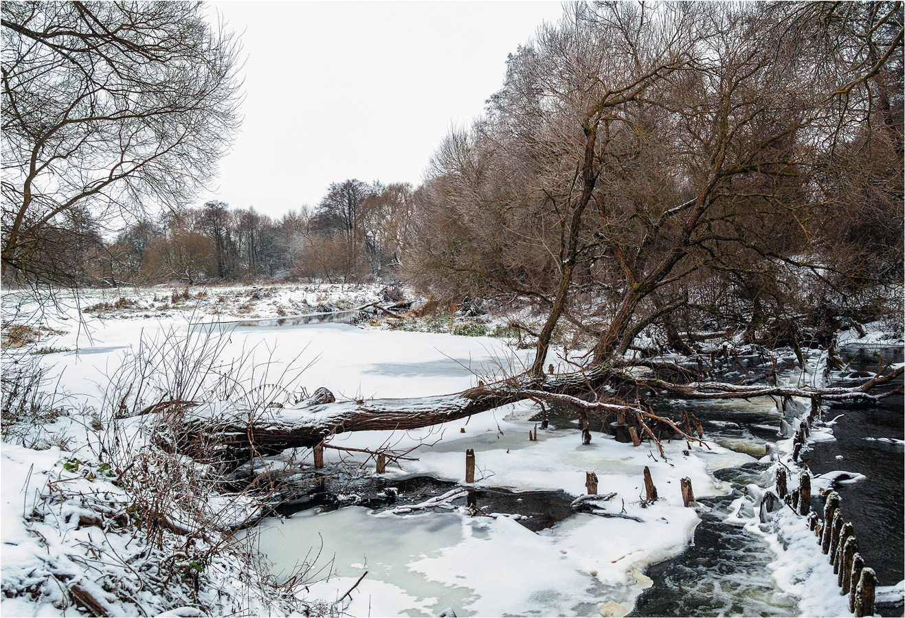 Зимушка-зима