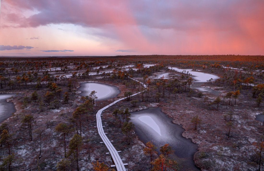 Тропа через болото