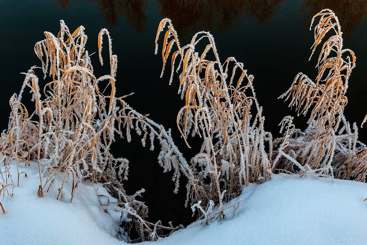 Узоры Зимы.