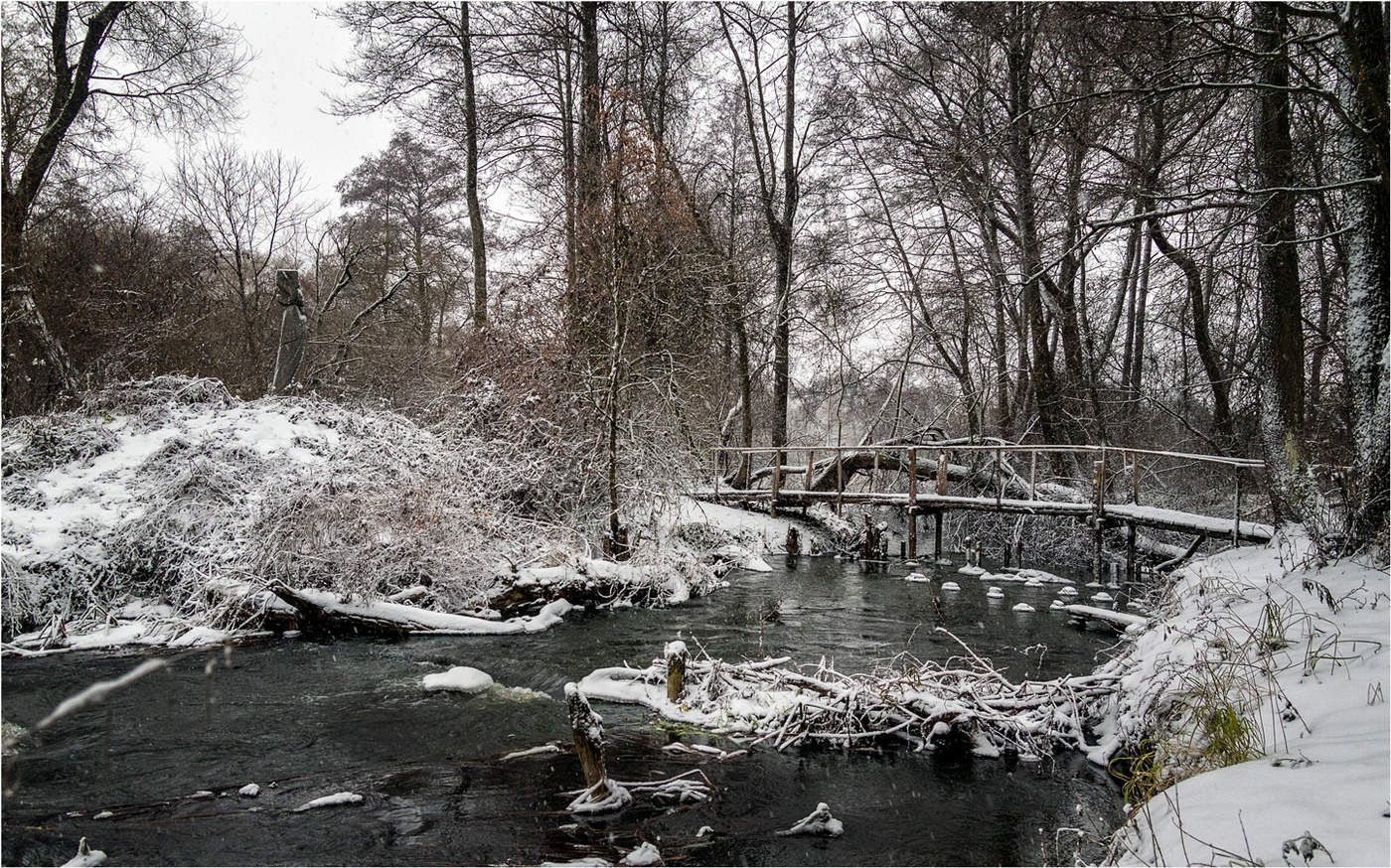 Зимний день