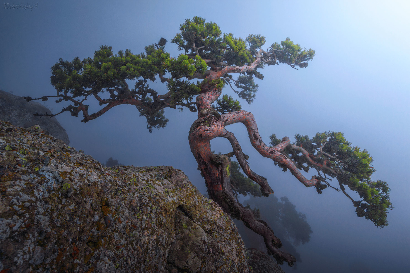 Танец в тумане