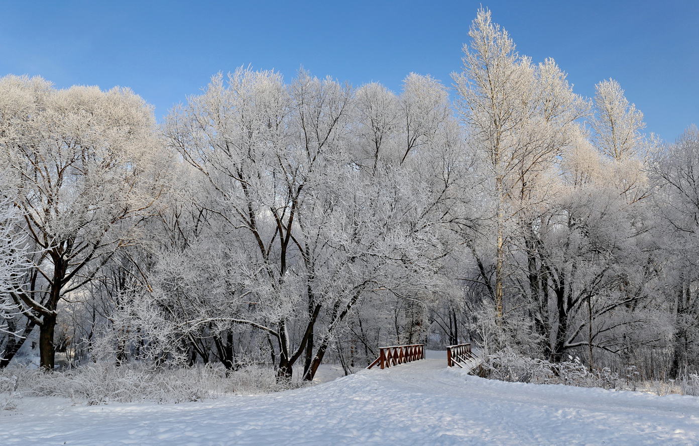 Зимняя зарисовка