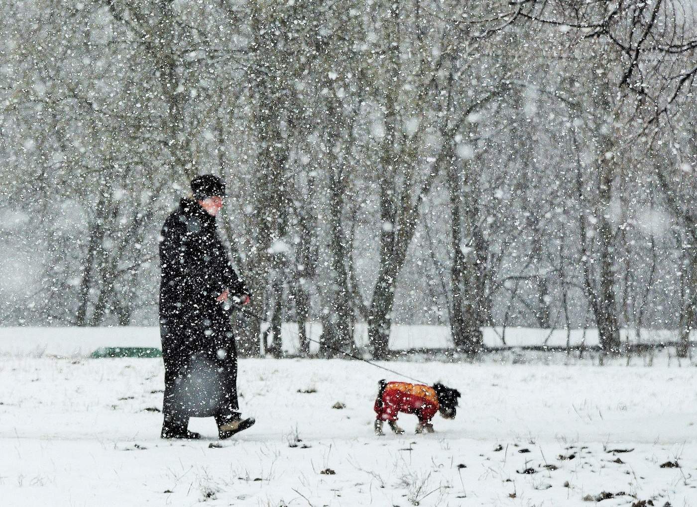 Они есть друг у друга ...