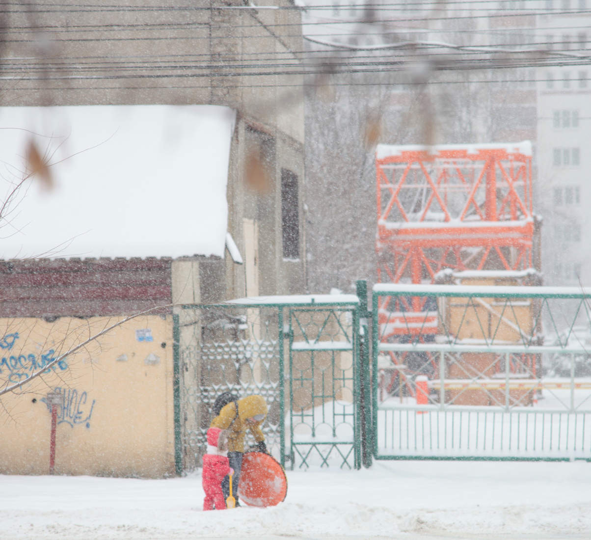 Зимняя зарисовка