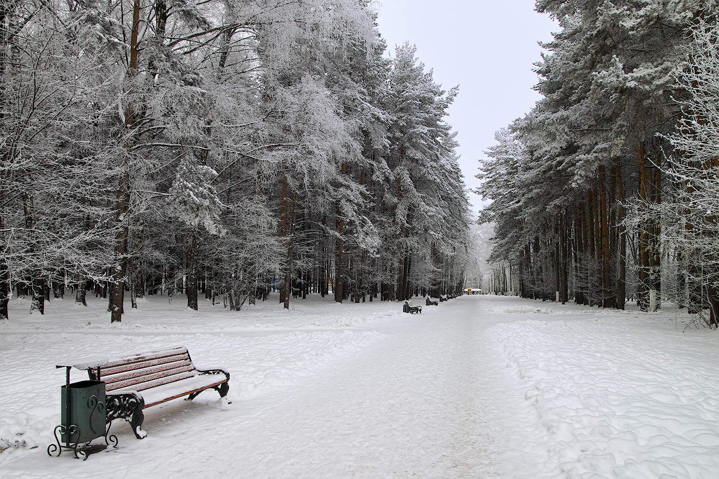 Зимняя зарисовка