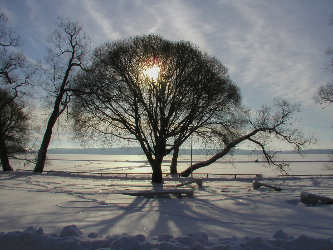 Зимняя зарисовка
