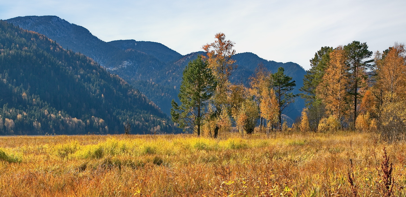 Осенний полдень.