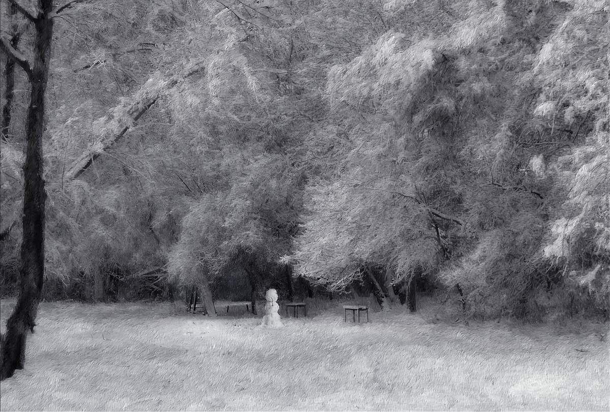 Зимняя зарисовка