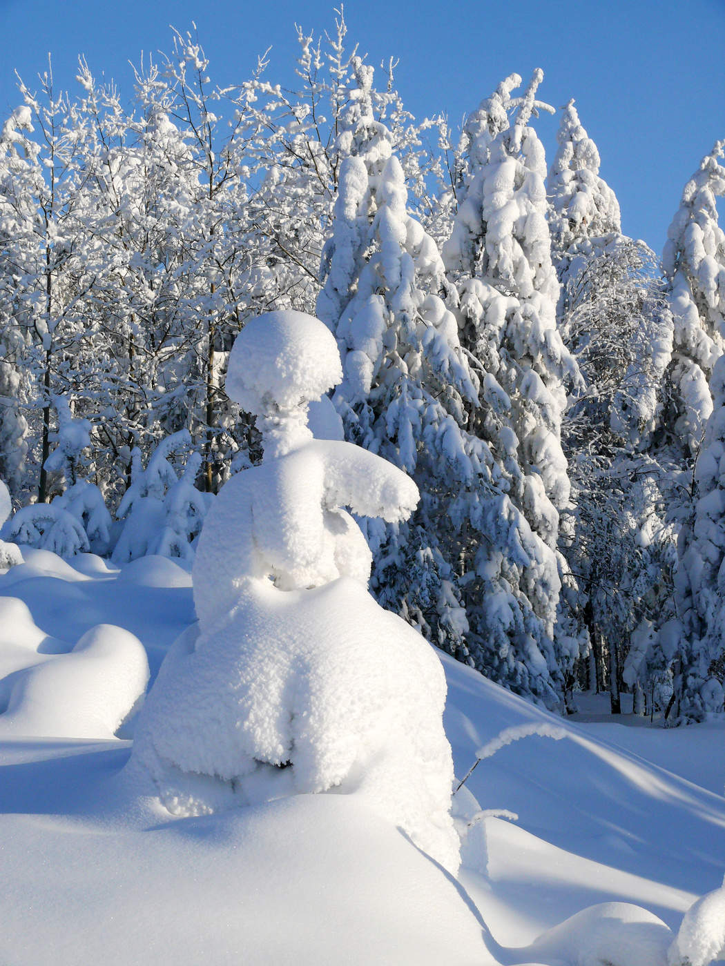 Зимняя зарисовка