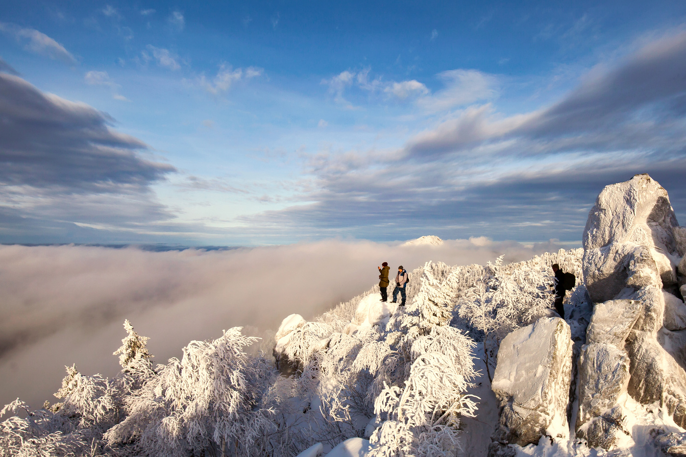 Зимняя зарисовка