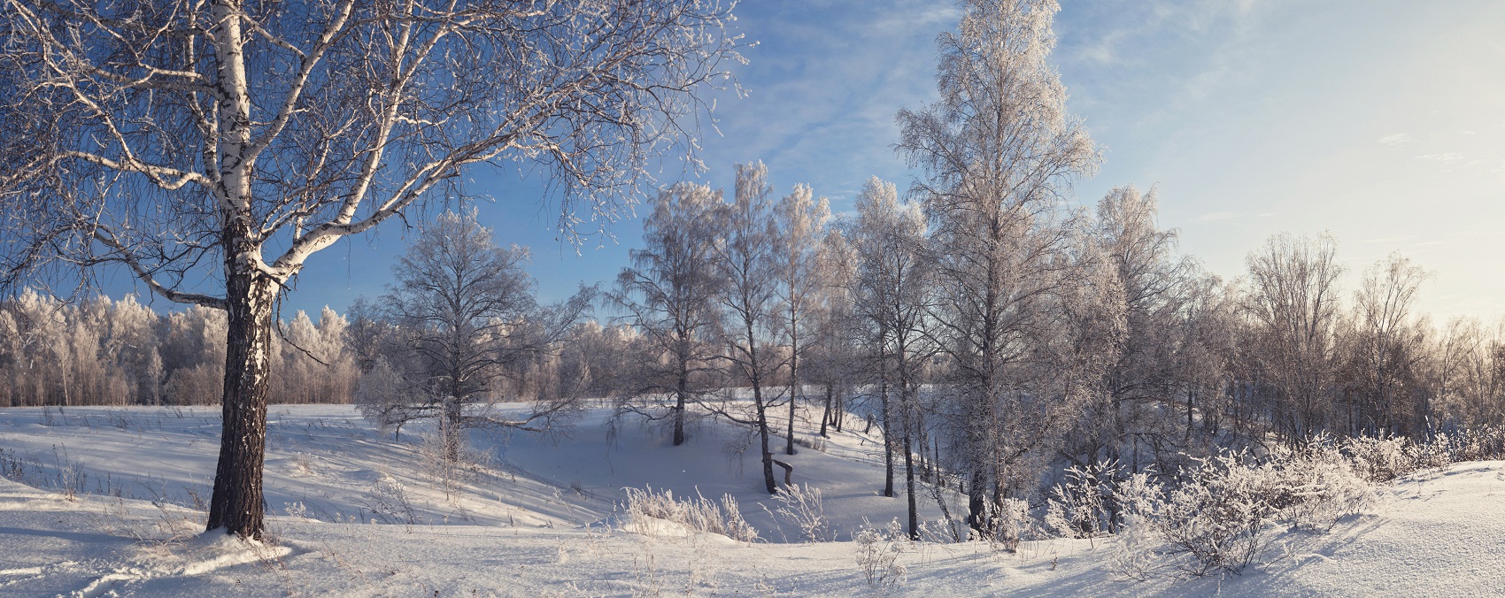 Зимняя зарисовка