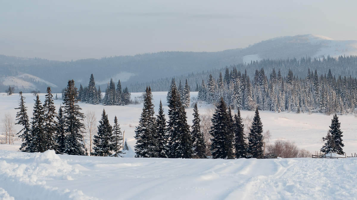 Зимняя зарисовка