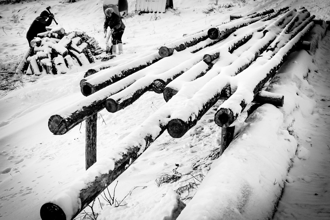 Зимняя зарисовка