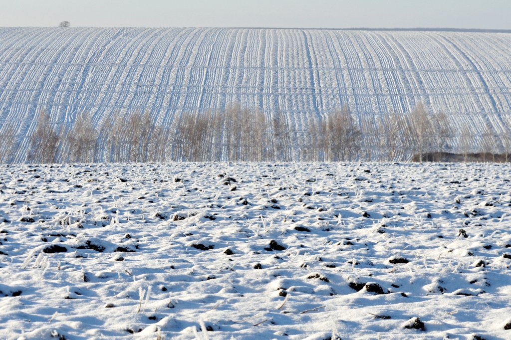 Зимняя зарисовка