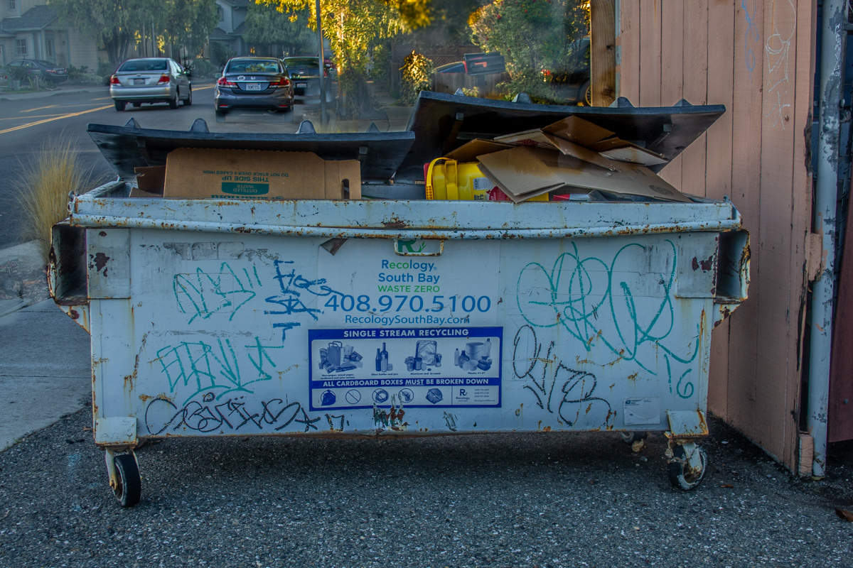 Наша живописная помоечка...