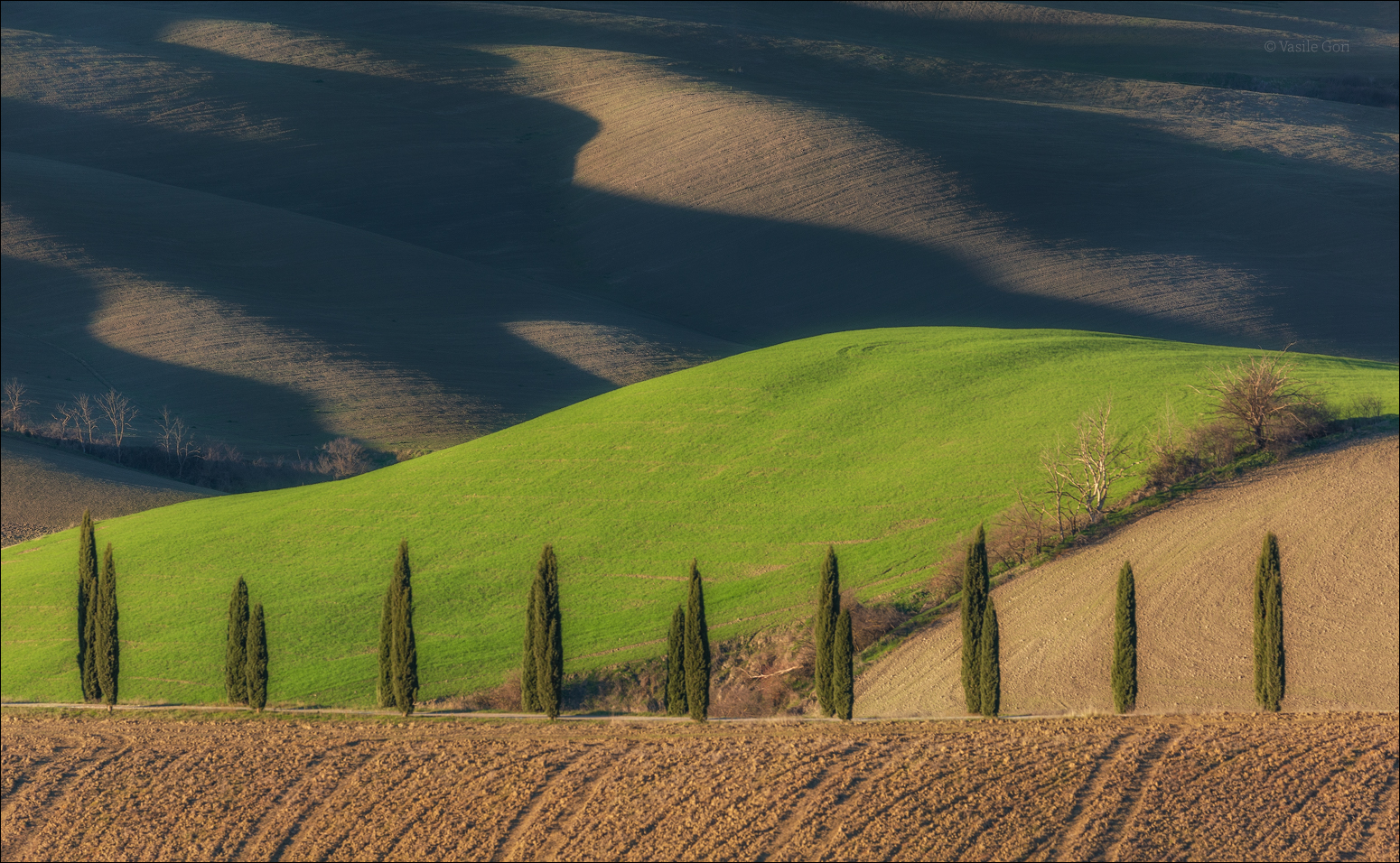 "Идеальный строй"