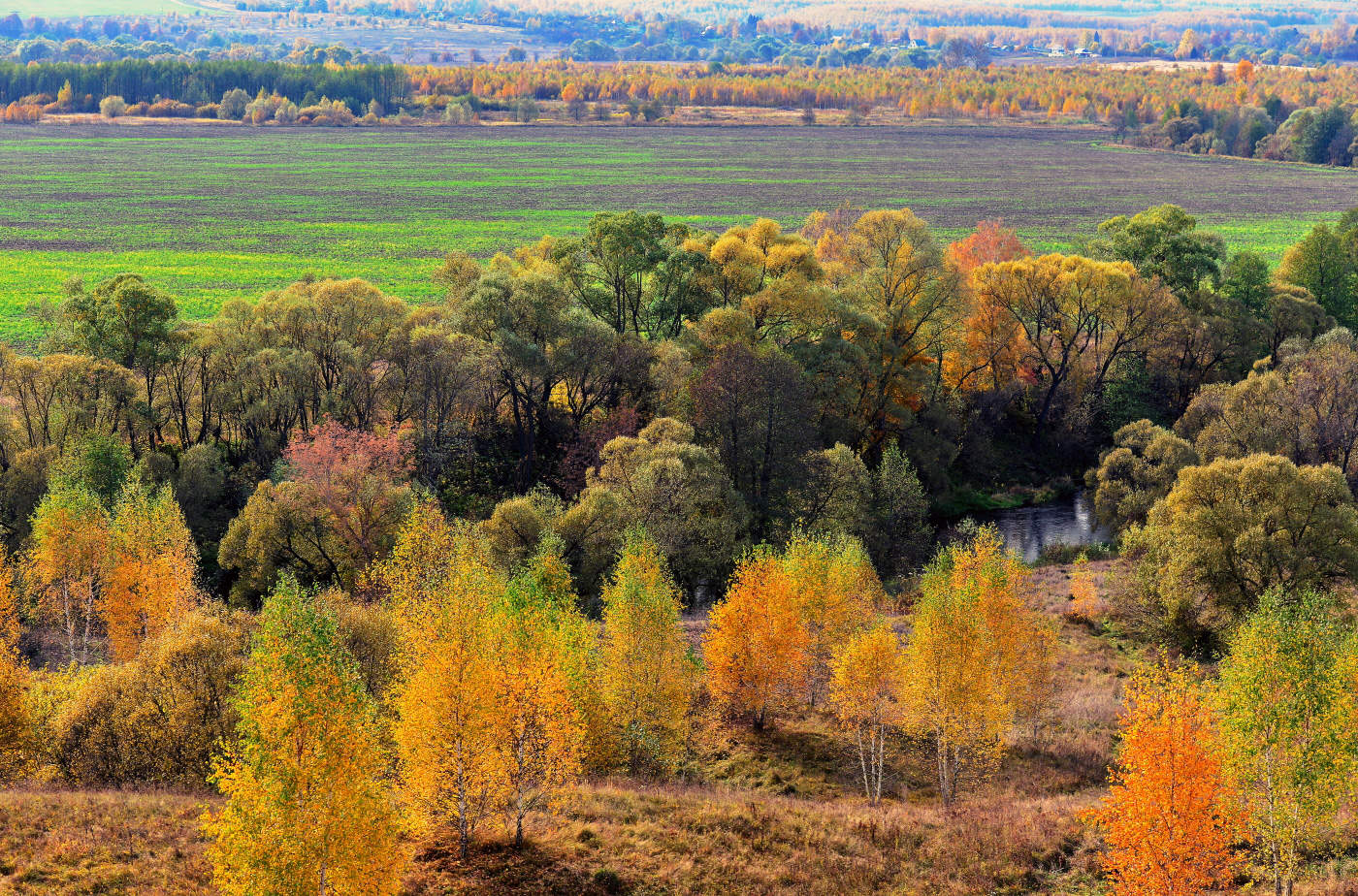 Окрестности Шамордино.