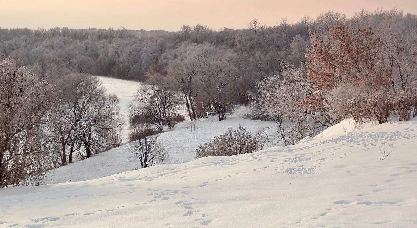 Седой декабрь