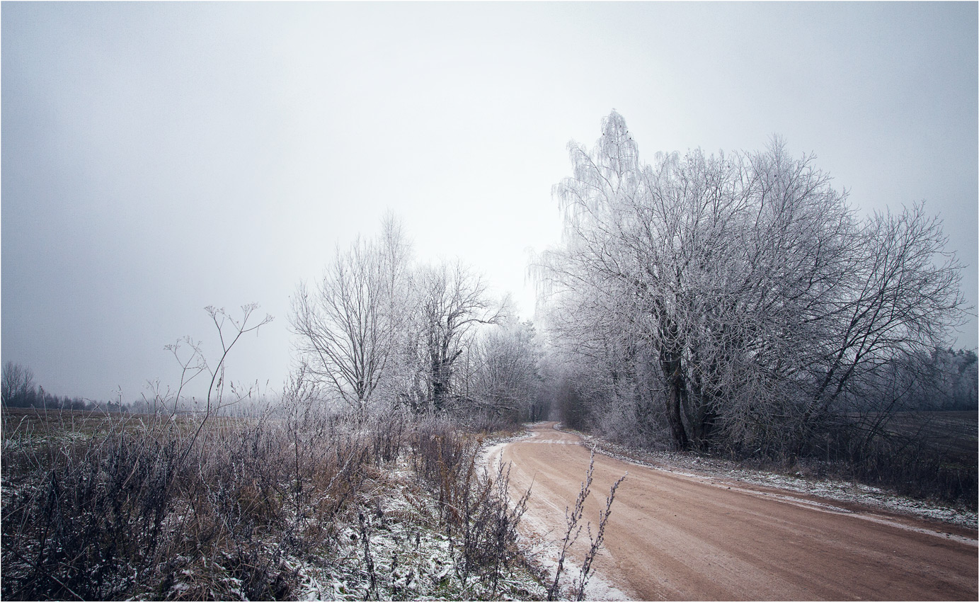 Туманный ноябрь