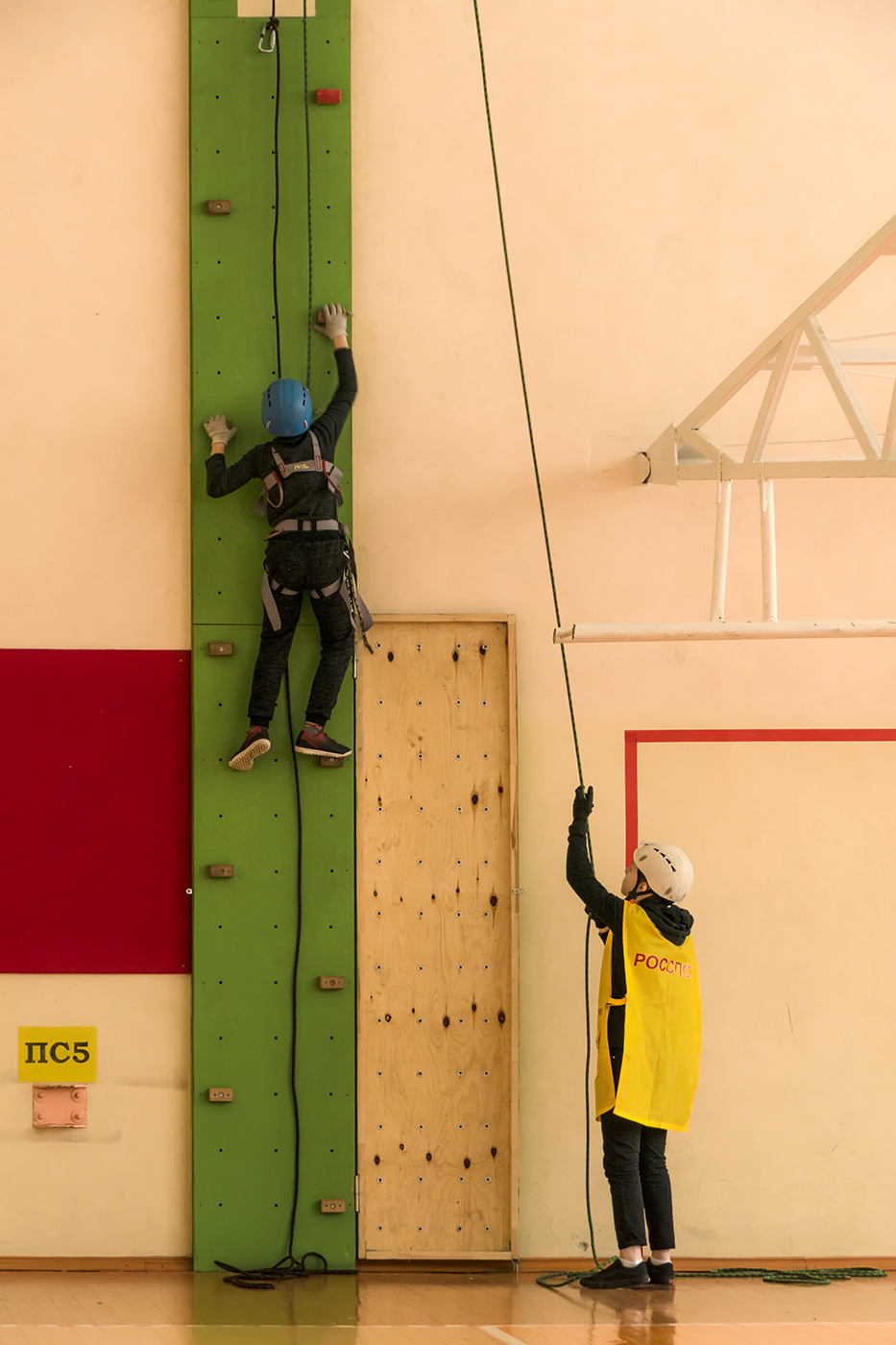 Зелёная вертикаль