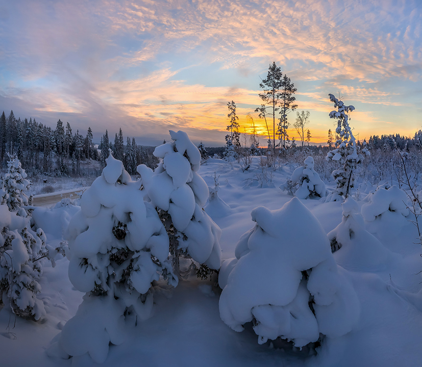 В ожидание Нового года