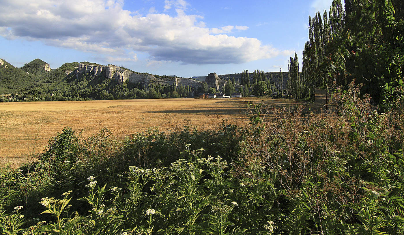 В огороде бузина..
