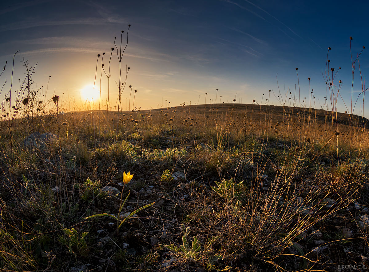 Признак апреля
