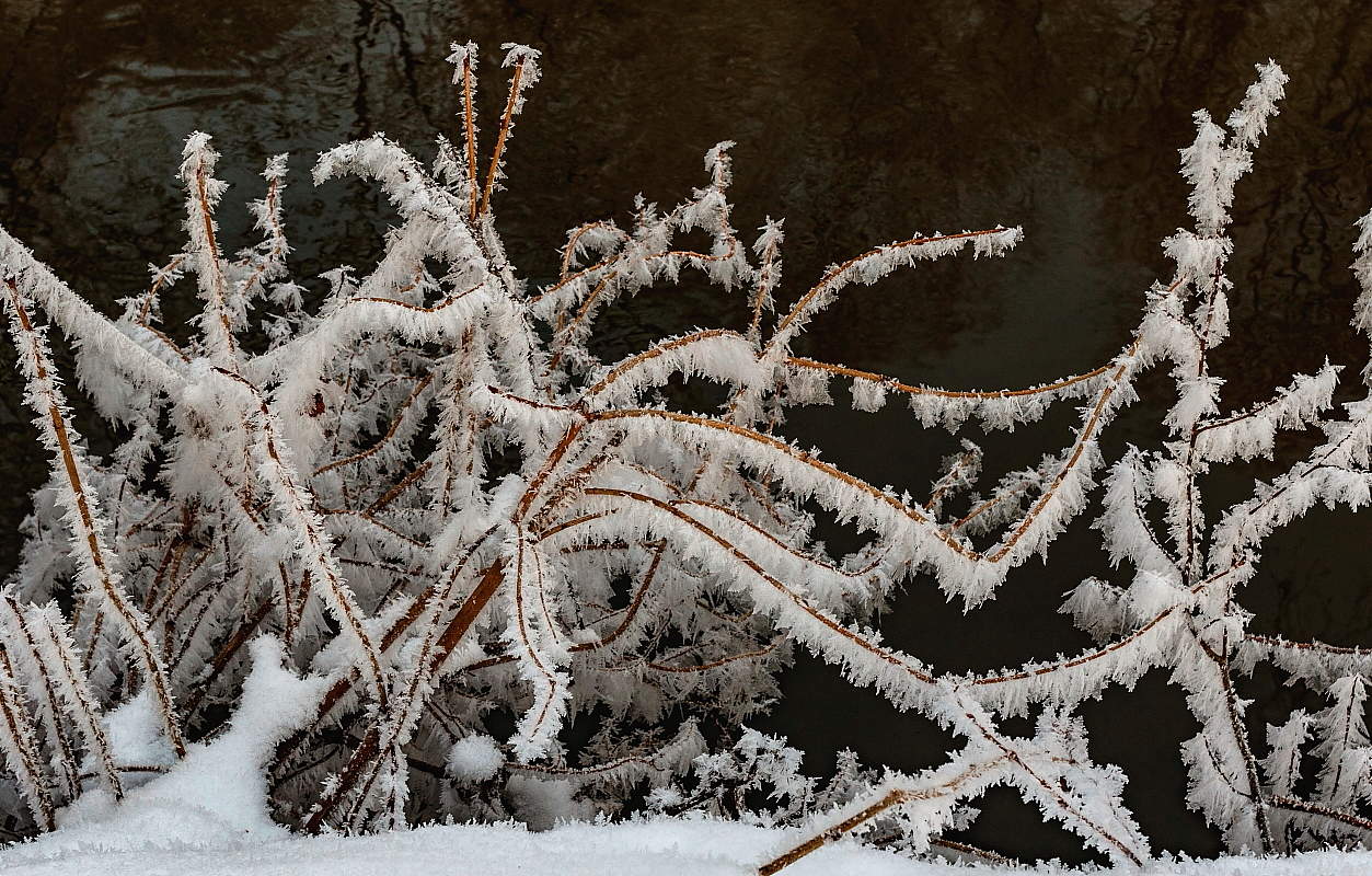 Зимы узоры.