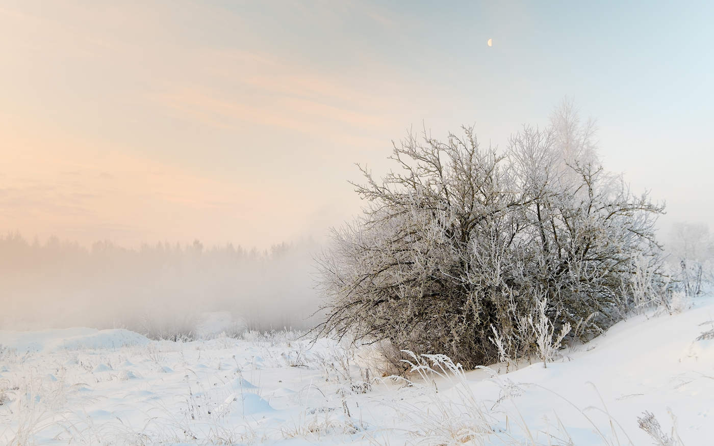 Под снежным убранством