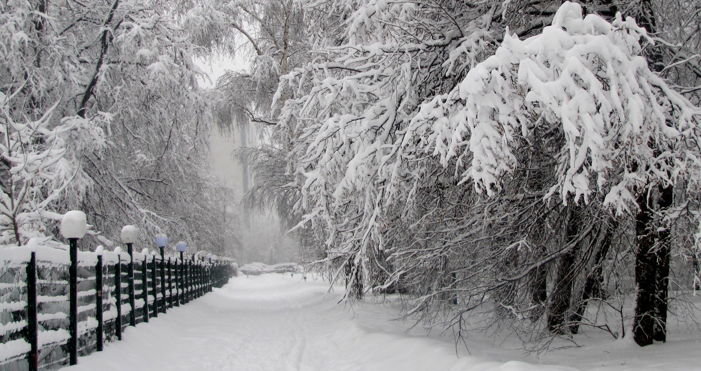 Красавица зима!