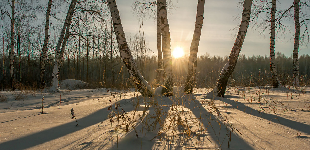 Просто светит солнце...