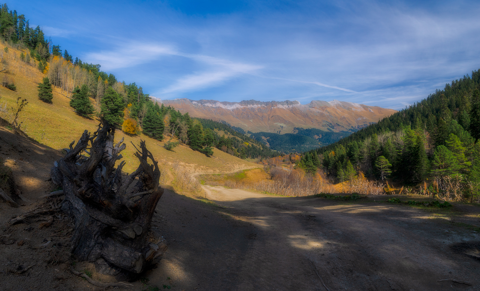 Из тени к свету