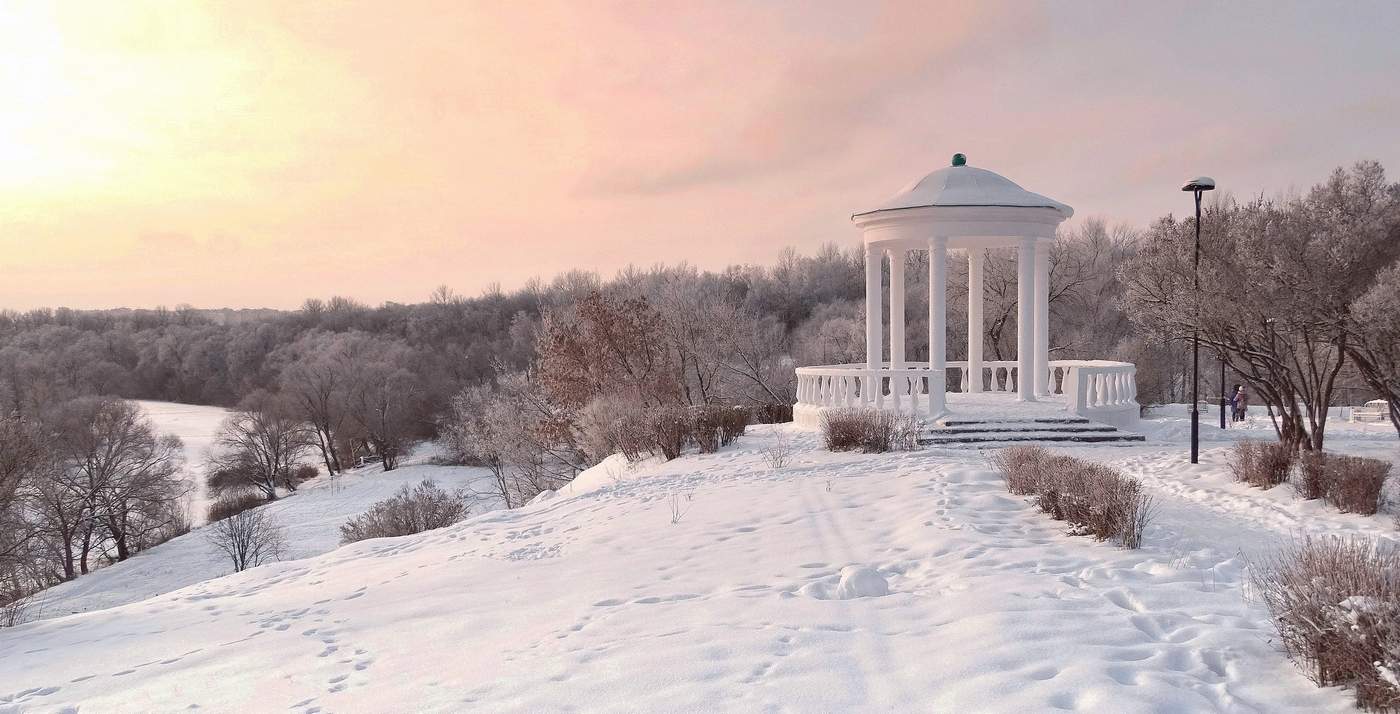 "Дворянка" в морозном инее