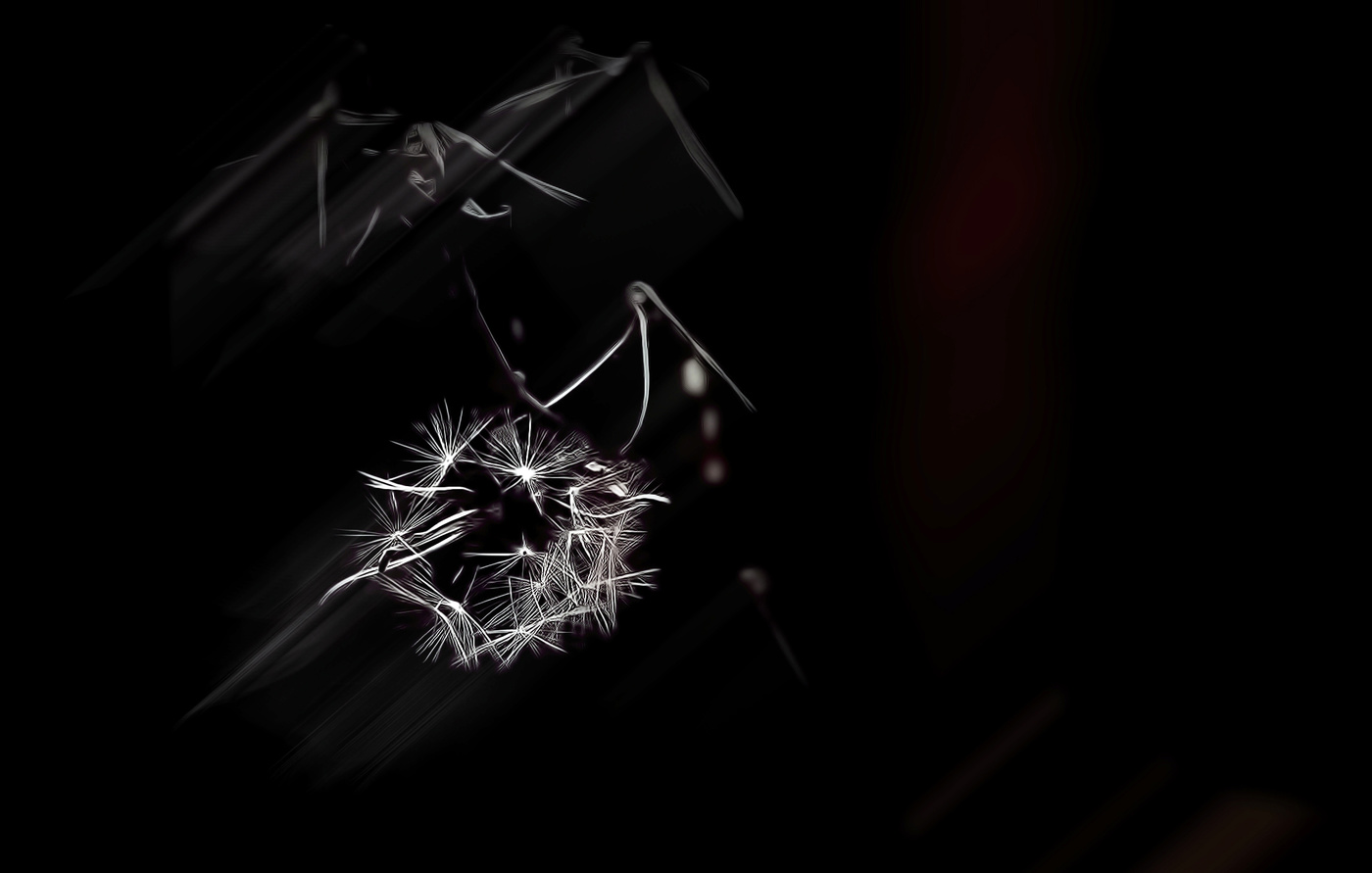 Последний одуванчик.