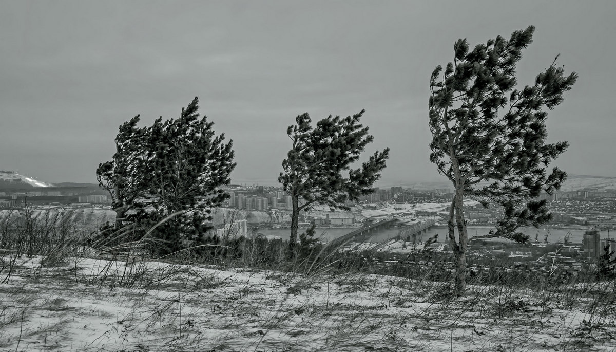 Погода испортилась...