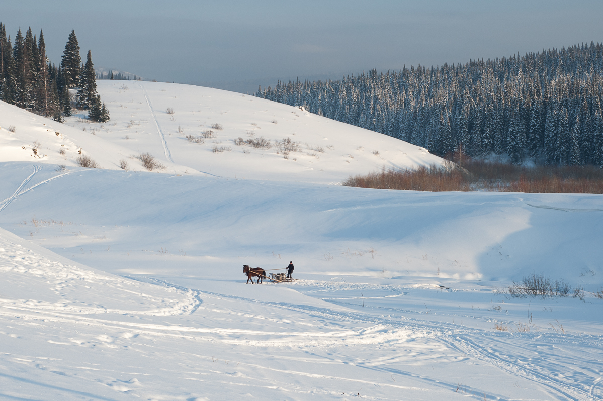 Зимние хлопоты