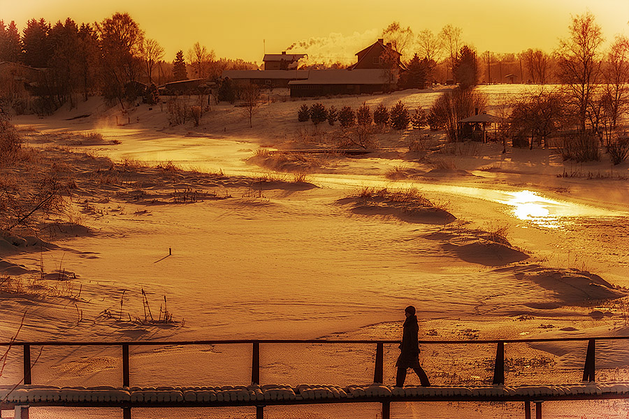 золотой закат зимы